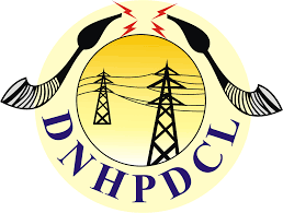 Dnh Power Distribution Company Limited