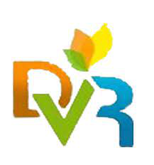 DVR Broadband Services